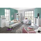 CARRYHOME POSTELJA | Shoptok.si