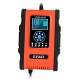 punjač i održavač akumulatora 12V/24V