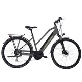 E-bike ECO 700.3.2 LADY sivo (480) Cene