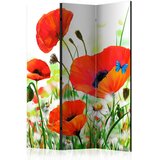 Artgeist PARAVAN 135/172/3 cm zelena, rdeča Slike