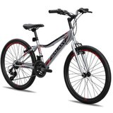 Galaxy Bicikl festina 24"/18 siva/crna/crvena mat ( 650242 ) Cene