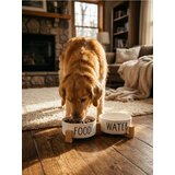 Sinsay Set keramičkih zdjela za kućne ljubimce Food & Water | shoptok.hr