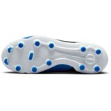 Nike kopačke za dečake jr legend 10 club fg/mg bpg