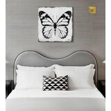  Slike na platnu leptiri 1-dijelna XOBCH20463FDE1 (autorske) | shoptok.hr