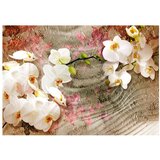  Tapeta - Desert Orchid 200x140 | shoptok.hr