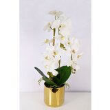 V Orhideja v lončku (80 cm, bela) | Shoptok.si