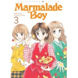 Grantham Book Services Wataru Yoshizumi - Marmalade Boy: Collector's Edition 3 Cene
