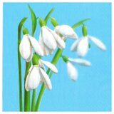  salveta za dekupaž - cvet visibaba - 1 komad - SLWI006601 cene