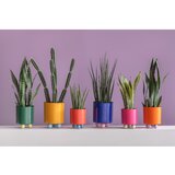 PT LIVING Kovinski okrasni cvetlični lonec ø 20 cm Double Funky – | Shoptok.si