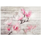  Tapeta - Gentleness of the Magnolia 300x210 | shoptok.hr