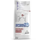 Forza 10 Active Line - Dermo Active - Ekonomično pakiranje: 2 x 10 kg