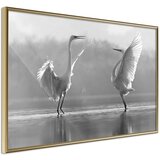  Poster - Black and White Herons 60x40 | shoptok.hr