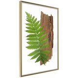  Poster - Expressive Ferm 30x45 | shoptok.hr