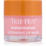 Watermelon Lip Mask maska za spanje za ustnice 17 g