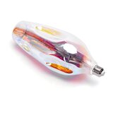 Aigostar led sijalica filament CR110 E27/4W/230V 1800K | Eponuda.com