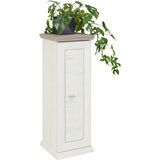 Hom`in STOJALO ZA ROŽE | Shoptok.si