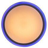  Stropna rasvjeta - Leonie | shoptok.hr