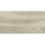Pločice 30x60 FOREST BIRCH