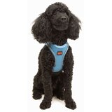 Paws & Whiskers Am za pse Air-Mesh, Plavi | Eponuda.com