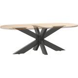 Noga klub stolića u obliku pauka antracit 98x58x(42-43) cm čelik | Eponuda.ba