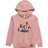 Walkiddy Sweater majica plava / svijetlosiva / roza / bijela