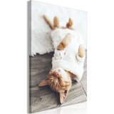  Slika - Lazy Cat (1 Part) Vertical 40x60 Cijene
