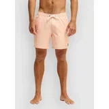 Stretch Printed Volley 16 Boardshorts strerling blue beach daze