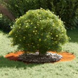 vidaXL Planter od corten čelika Corten čelik Velik Ukrasni umetci | shoptok.hr