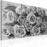  Slika - Twelve roses - triptych 120x80 Cijene