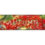 Steam Autumn Key GLOBAL Steam Autumn Key GLOBAL Slike