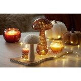 Mömax Dekorativna Buča Cinderella | Shoptok.si