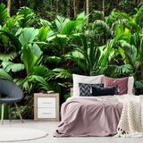  Samoljepljiva foto tapeta - Freshness of the Jungle 98x70 Cijene