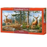 Castorland puzzle od 4000 delova Royal Deer Family C-400317-2