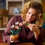 Lego Botanical Collection: Mini orhideja | shoptok.hr