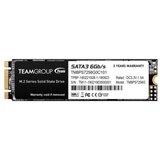 Team Group M.2 2280 256GB MS30 NGFF SSD SATA3 500/400MB/s TM8PS7256G0C101 | ePonuda.com