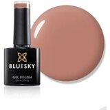  BLUESKY TRAJNI LAK COCOA | Eponuda.ba