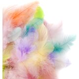  Dekorativno perje 5 do 12 cm - 5 g - Pastel (perje za dekoraciju) Cijene