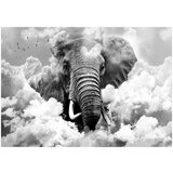  Tapeta - Elephant in the Clouds (Black and White) 200x140 | shoptok.hr