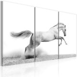  Slika - A galloping horse 120x80 Cijene