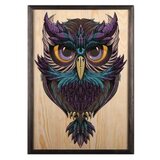 Wallity slika owl color dream, 35 x 50 cm | ePonuda.com