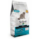 Cat Schesir Dry Cat Maintenance Riba 400 g Cene