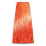 Prosalon Farba za kosu COLORART - Veoma intezivna bakarna 10/44 100g Cijene