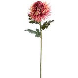 Light & Living Umetna rastlina (višina 91 cm) Chrysantheme – Cene