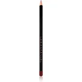 Lip Liner olovka za konturiranje usana nijansa Raisin 1,49 g