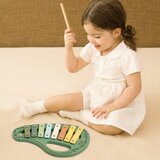 Classic World Drveni Ksilofon zeleni | ePonuda.com