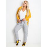 RELEVANCE Sweatpants-RV-DR-4765.52-gray | Shoptok.si