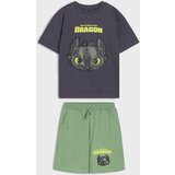 Sinsay Komplet od žerseja How to train your dragon | shoptok.hr