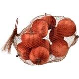 Mondex okrasne buče žamet Mave 5x5x4 rjava 10kos, (5000334892) | Shoptok.si