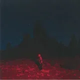 Phoebe Bridgers - Punisher