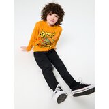 Sinsay Majica dugih rukava Teenage Mutant Ninja Turtles | shoptok.hr